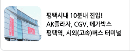 평택시내 10분내 진입!